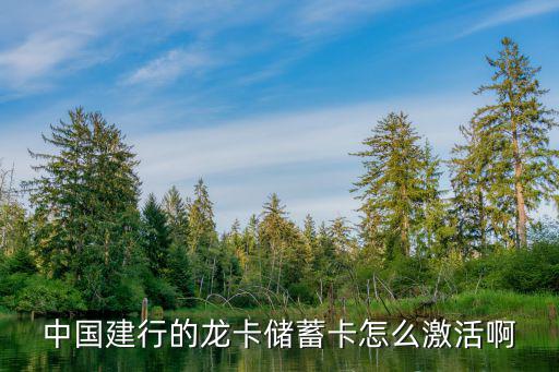 中國(guó)建行的龍卡儲(chǔ)蓄卡怎么激活啊