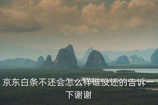 京東白條不還會(huì)怎么樣誰沒還的告訴一下謝謝