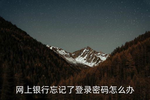 網(wǎng)上銀行忘記了登錄密碼怎么辦