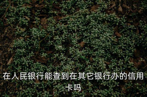 怎么查別人辦的信用卡，假如懷疑自己身份證被盜用辦理信用卡請問該通過什么方式才能查詢