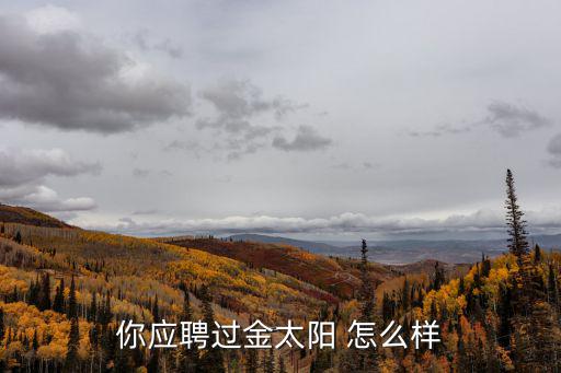 你應(yīng)聘過金太陽 怎么樣