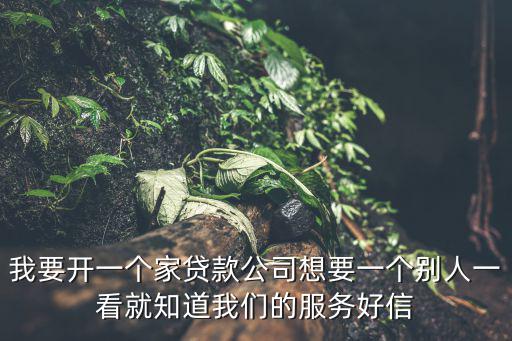 我要開一個(gè)家貸款公司想要一個(gè)別人一看就知道我們的服務(wù)好信