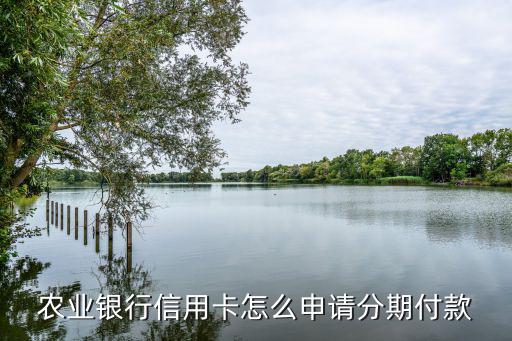 農(nóng)業(yè)銀行信用卡怎么申請分期付款