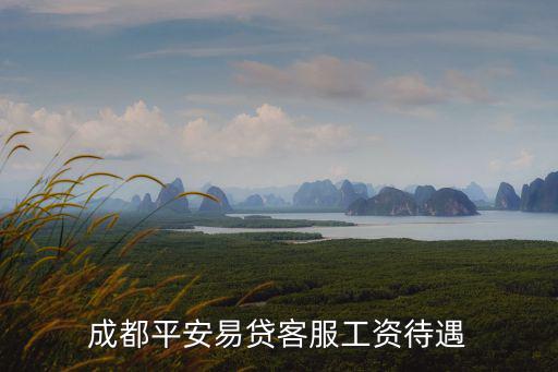 成都平安易貸客服工資待遇