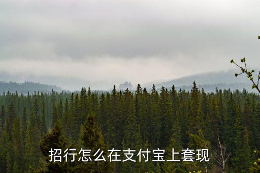 招聯(lián)的付款碼怎么套現(xiàn)，掌上聯(lián)通營業(yè)廳里招聯(lián)用戶里的錢能套現(xiàn)嗎