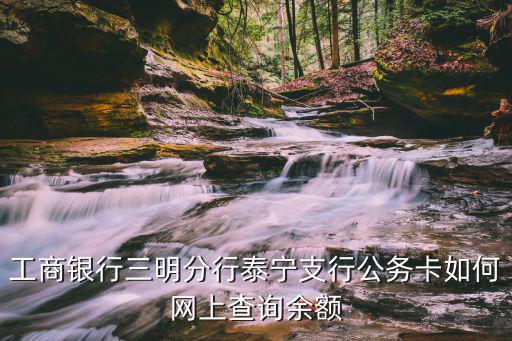 工商銀行三明分行泰寧支行公務(wù)卡如何網(wǎng)上查詢余額