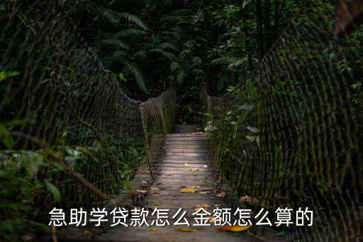 急助學(xué)貸款怎么金額怎么算的