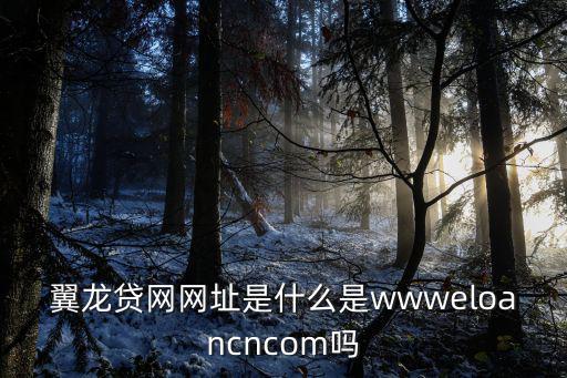 翼龍貸網(wǎng)網(wǎng)址是什么是wwweloancncom嗎