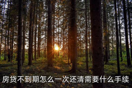 房貸不到期怎么一次還清需要什么手續(xù)