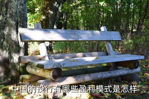 中國的投行有哪些盈利模式是怎樣
