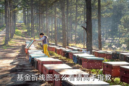 基金折線圖怎么看請(qǐng)高手指教