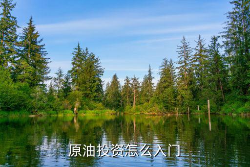 wti原油一般怎么投資，怎么投資原油