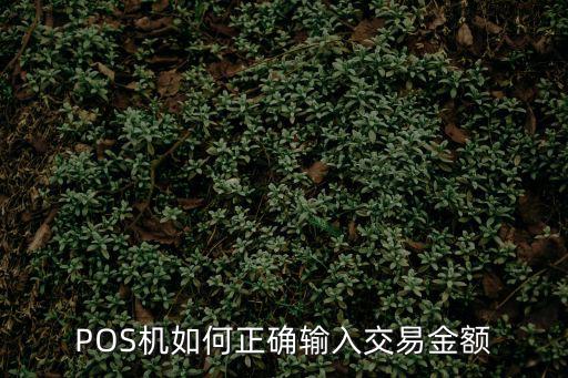 POS機(jī)如何正確輸入交易金額