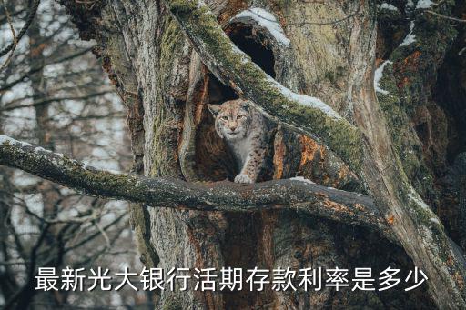 最新光大銀行活期存款利率是多少
