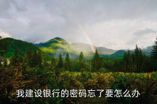 建行沒有設(shè)置登錄密碼忘記了怎么辦，我建設(shè)銀行的密碼忘了要怎么辦