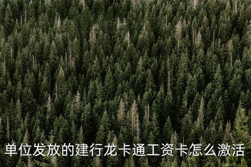 單位發(fā)放的建行龍卡通工資卡怎么激活