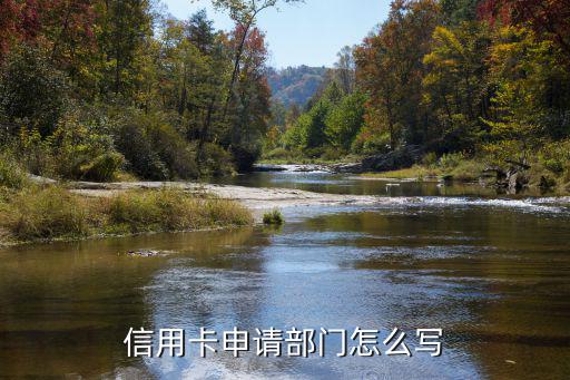 銀行申請(qǐng)表部門怎么填，開戶銀行申請(qǐng)表怎么寫