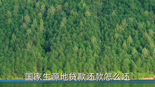 國(guó)家生源地貸款還款怎么還
