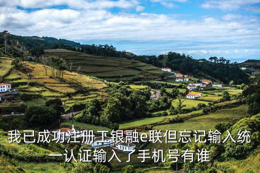我已成功注冊工銀融e聯(lián)但忘記輸入統(tǒng)一認(rèn)證輸入了手機(jī)號有誰