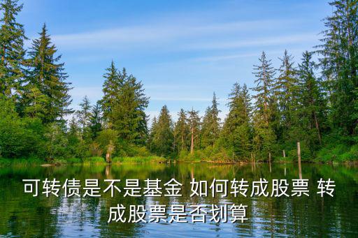 可轉(zhuǎn)債是不是基金 如何轉(zhuǎn)成股票 轉(zhuǎn)成股票是否劃算