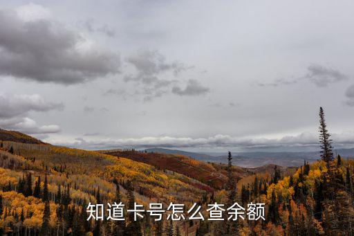 知道卡號(hào)怎么查余額