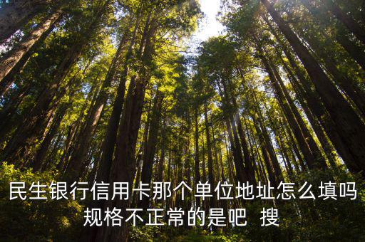 民生銀行信用卡那個(gè)單位地址怎么填嗎規(guī)格不正常的是吧  搜