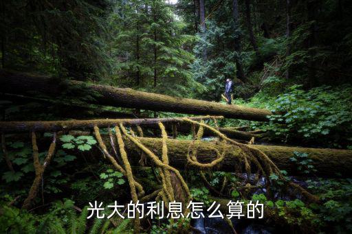 光大活期利息怎么算的，最新光大銀行活期存款利率是多少