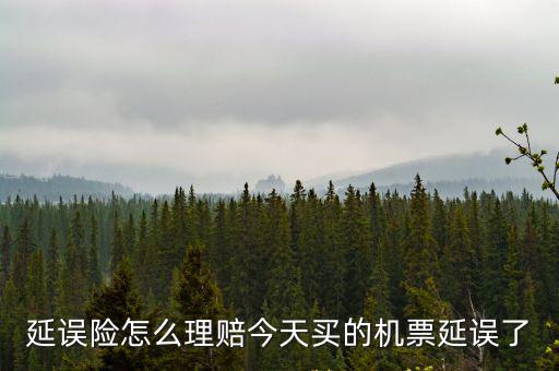 延誤險(xiǎn)怎么理賠今天買的機(jī)票延誤了