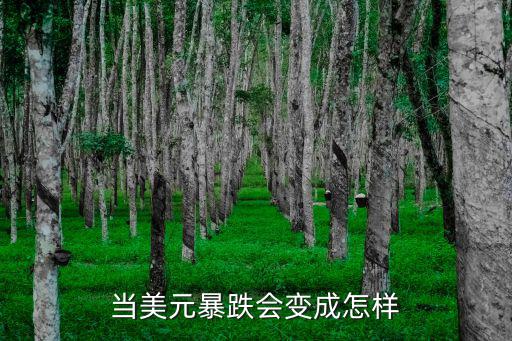 美元大跌怎么辦，美元兌人民幣一直在跌天啊我怎么才能最小損失地?fù)Q回來(lái)