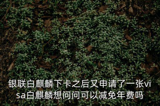 銀聯(lián)白麒麟下卡之后又申請了一張visa白麒麟想問問可以減免年費嗎