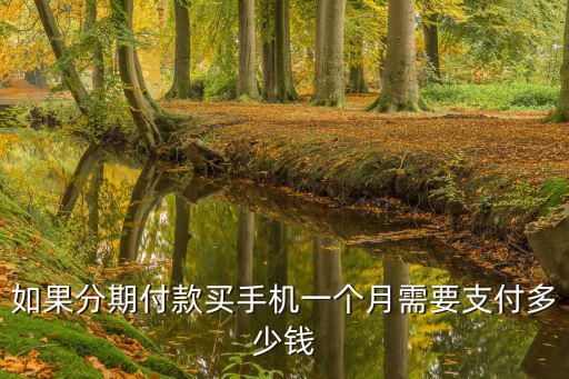 如果分期付款買手機一個月需要支付多少錢