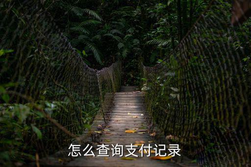 怎么查最近交易記錄查詢，怎么查詢支付記錄