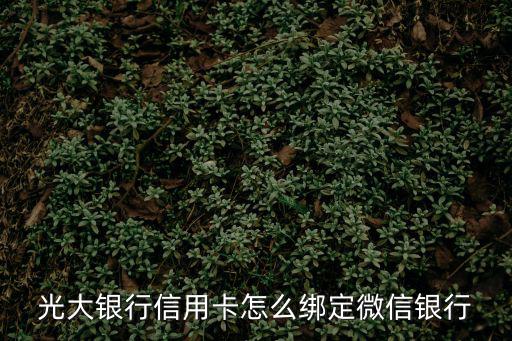 怎么關(guān)注光大銀行微信，光大銀行信用卡怎么綁定微信銀行