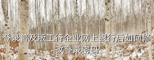 登錄普及版工行企業(yè)網(wǎng)上銀行后如何修改登錄密碼