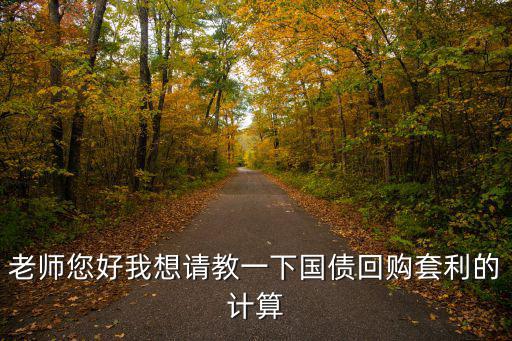 老師您好我想請(qǐng)教一下國(guó)債回購(gòu)套利的計(jì)算