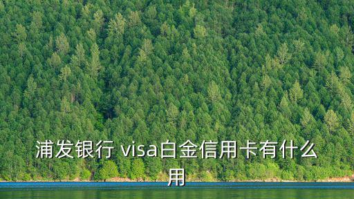 浦發(fā)visa白金卡怎么用，請問浦發(fā)visa白金卡簡約板可以刷卡及取現(xiàn)嗎