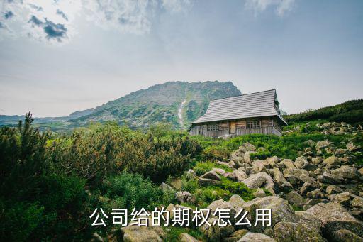 公司給的期權(quán)怎么用