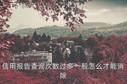 信用報告查詢次數(shù)過多一般怎么才能消除