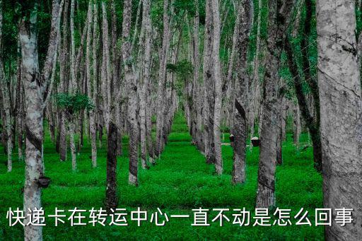 開普卡是怎么回事，為什么我申請的是白金卡卻給了我普卡