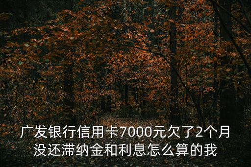 信用卡欠7000未還利息怎么算，廣發(fā)銀行信用卡7000元欠了2個(gè)月沒還滯納金和利息怎么算的我