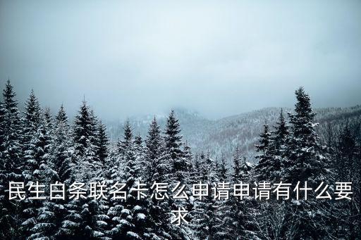民生白條聯(lián)名卡怎么申請(qǐng)申請(qǐng)有什么要求