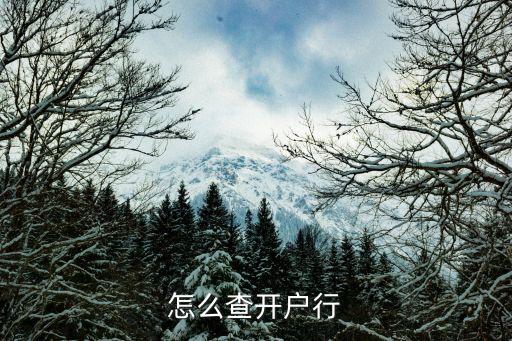 唐山銀行開戶行怎么查，怎樣查詢銀行卡的開戶行