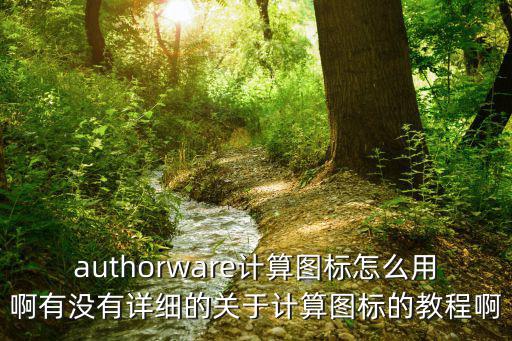 authorware計(jì)算圖標(biāo)怎么用啊有沒有詳細(xì)的關(guān)于計(jì)算圖標(biāo)的教程啊