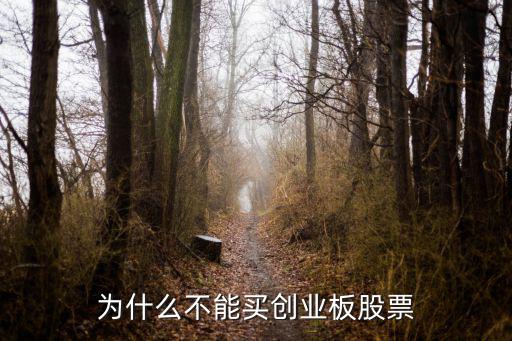 為什么不能買創(chuàng)業(yè)板股票