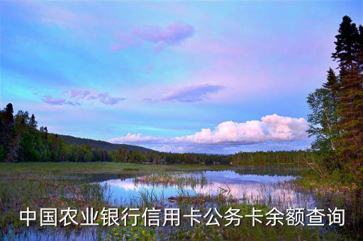 中國農(nóng)業(yè)銀行信用卡公務(wù)卡余額查詢