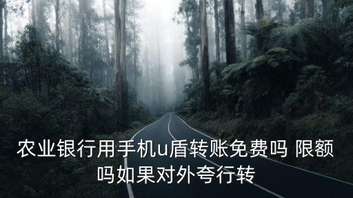 農(nóng)行u盾怎么用手機轉(zhuǎn)賬嗎，農(nóng)業(yè)銀行用手機u盾轉(zhuǎn)賬免費嗎 限額嗎如果對外夸行轉(zhuǎn)