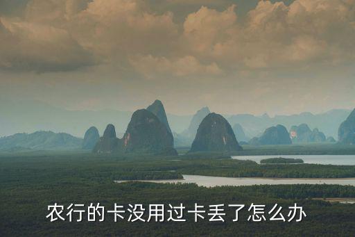 農(nóng)行的卡沒用過卡丟了怎么辦