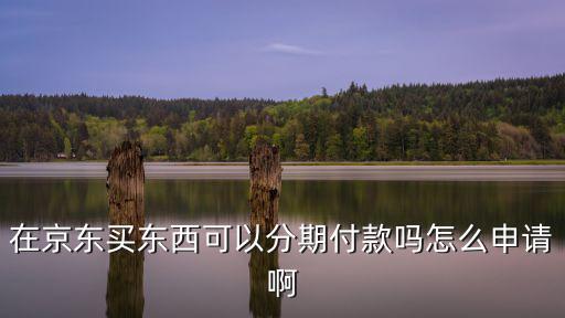 在京東買東西可以分期付款嗎怎么申請啊