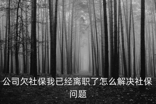 公司欠社保我已經(jīng)離職了怎么解決社保問題