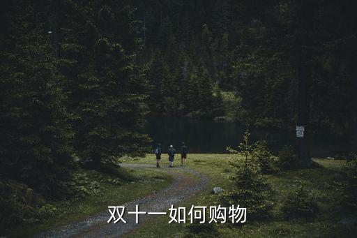雙十一如何購物